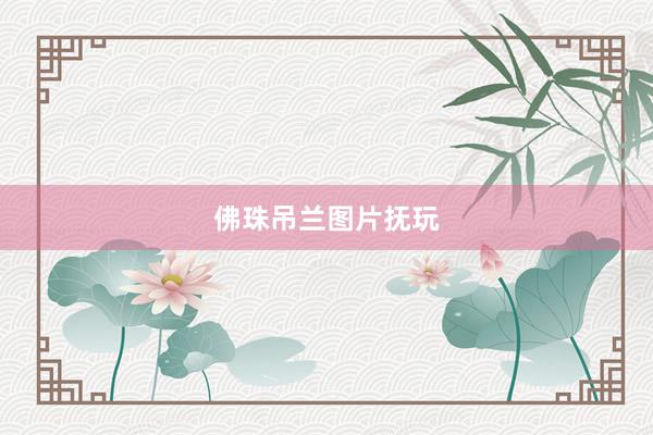 佛珠吊兰图片抚玩